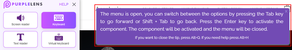 - המשתמש יכול לנווט באתר על ידי לחיצה על מקש "Tab" כדי ללכת קדימה ("Tab" + "Shift" כדי לחזור אחורה) וללחוץ על מקש "Enter" כדי לבחור את הפריט (תמונה 9).